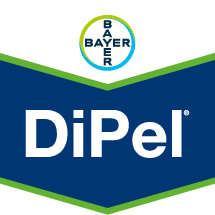 Imagen de DIPEL DF